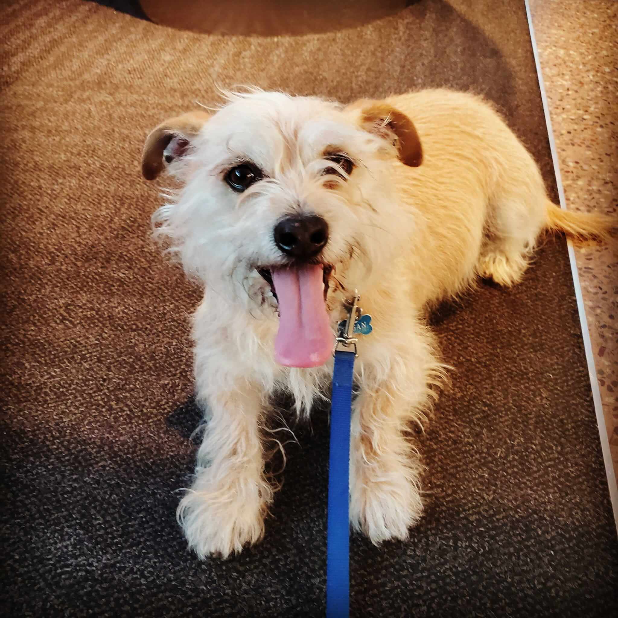 Melissa Slawson - geolinks