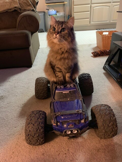 kevin malone geolinks